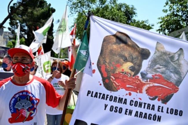 Protesters hold a banner showing pictures of a bear and a wolf with bloody teeth.