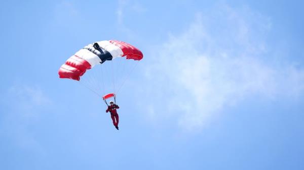 Red Devils parachute team. File pic